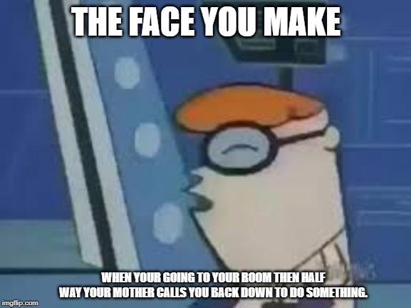 happens on a daily basis | THE FACE YOU MAKE; WHEN YOUR GOING TO YOUR ROOM THEN HALF WAY YOUR MOTHER CALLS YOU BACK DOWN TO DO SOMETHING. | image tagged in random,memes | made w/ Imgflip meme maker