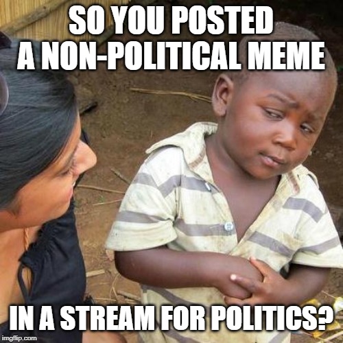 Third World Skeptical Kid Meme | SO YOU POSTED A NON-POLITICAL MEME IN A STREAM FOR POLITICS? | image tagged in memes,third world skeptical kid | made w/ Imgflip meme maker