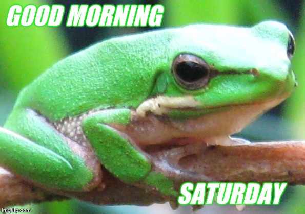 good morning | GOOD MORNING; SATURDAY | image tagged in good morning frogs,memes | made w/ Imgflip meme maker