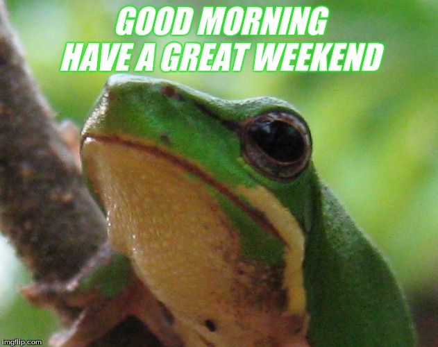 Good Morning | GOOD MORNING
HAVE A GREAT WEEKEND | image tagged in good morning frogs,memes | made w/ Imgflip meme maker