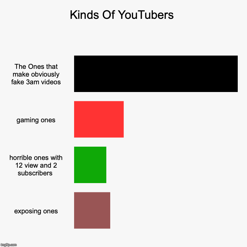 Kinds Of YouTubers | The Ones that make obviously fake 3am videos, gaming ones, horrible ones with 12 view and 2 subscribers , exposing ones | image tagged in charts,bar charts | made w/ Imgflip chart maker