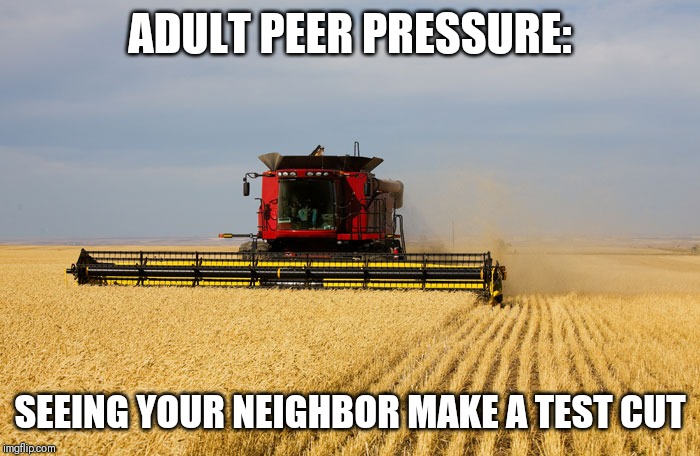 ADULT PEER PRESSURE:; SEEING YOUR NEIGHBOR MAKE A TEST CUT | made w/ Imgflip meme maker