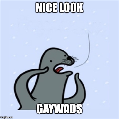 gay seal | NICE LOOK GAYWADS | image tagged in gay seal | made w/ Imgflip meme maker