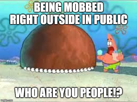 WHO ARE YOU PEOPLE? | BEING MOBBED RIGHT OUTSIDE IN PUBLIC; WHO ARE YOU PEOPLE!? | image tagged in who are you people | made w/ Imgflip meme maker
