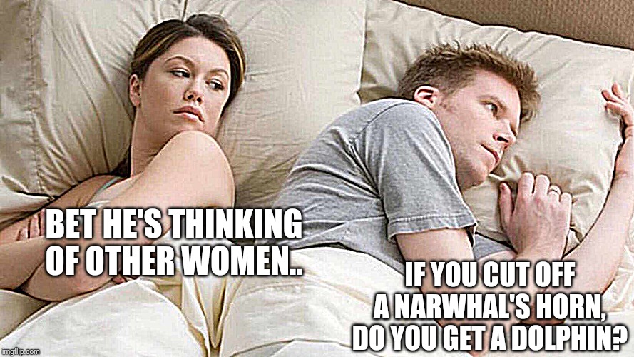 I Bet He's Thinking About Other Women Meme |  IF YOU CUT OFF A NARWHAL'S HORN, DO YOU GET A DOLPHIN? BET HE'S THINKING OF OTHER WOMEN.. | image tagged in i bet he's thinking about other women | made w/ Imgflip meme maker