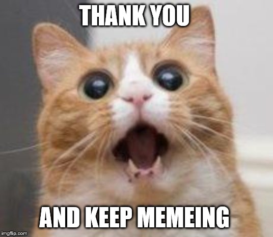 Wow | THANK YOU AND KEEP MEMEING | image tagged in wow | made w/ Imgflip meme maker