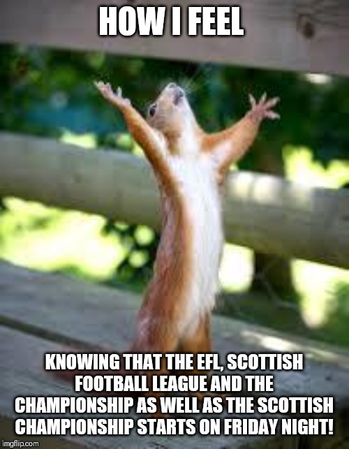 Football geeks rejoice! | HOW I FEEL; KNOWING THAT THE EFL, SCOTTISH FOOTBALL LEAGUE AND THE CHAMPIONSHIP AS WELL AS THE SCOTTISH CHAMPIONSHIP STARTS ON FRIDAY NIGHT! | image tagged in praise squirrel,memes,football | made w/ Imgflip meme maker