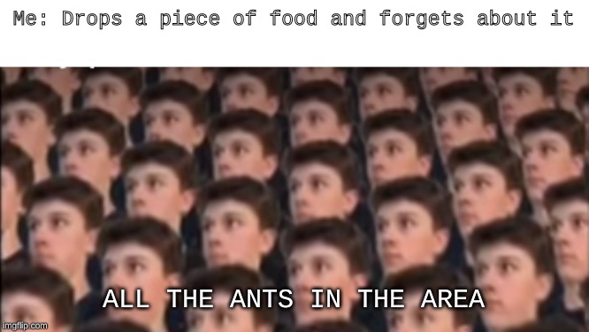 Me: Drops a piece of food and forgets about it; ALL THE ANTS IN THE AREA | image tagged in fun | made w/ Imgflip meme maker