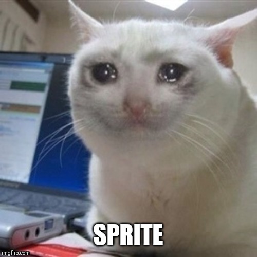 cryingcat | SPRITE | image tagged in cryingcat | made w/ Imgflip meme maker