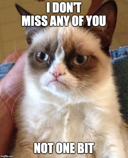 Grumpy Cat Meme | I DON'T MISS ANY OF YOU; NOT ONE BIT | image tagged in memes,grumpy cat | made w/ Imgflip meme maker