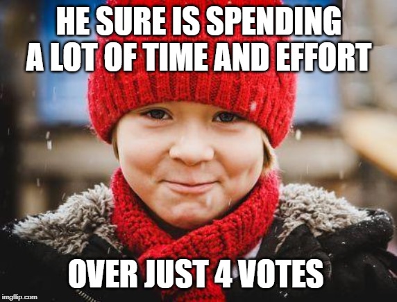 smirk | HE SURE IS SPENDING A LOT OF TIME AND EFFORT OVER JUST 4 VOTES | image tagged in smirk | made w/ Imgflip meme maker