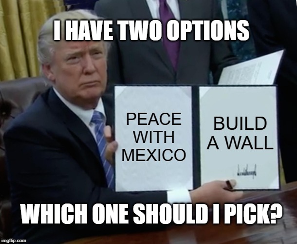 Trump Bill Signing | I HAVE TWO OPTIONS; PEACE WITH MEXICO; BUILD A WALL; WHICH ONE SHOULD I PICK? | image tagged in memes,trump bill signing | made w/ Imgflip meme maker