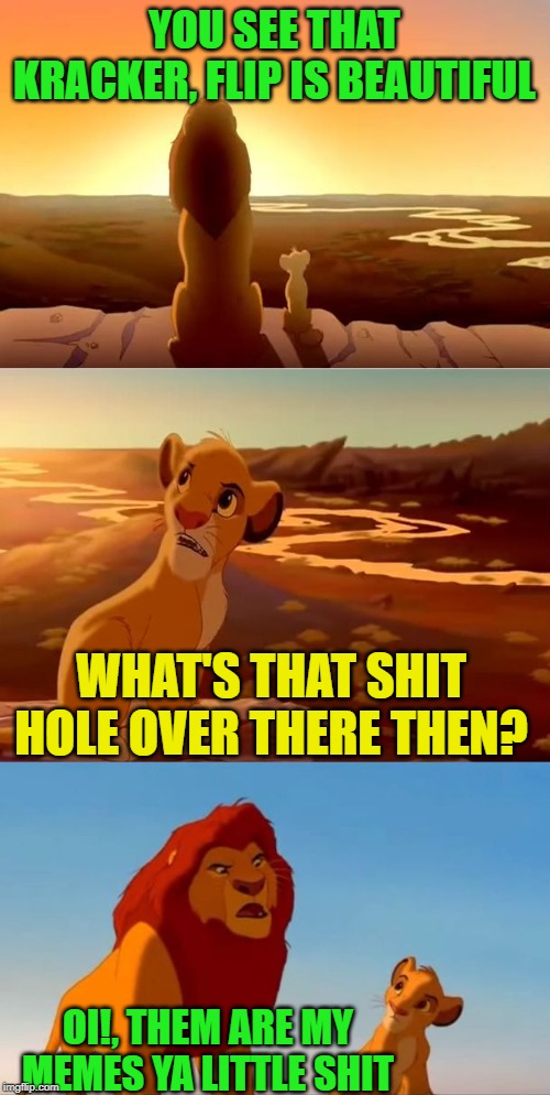 lion king shadowy place | YOU SEE THAT KRACKER, FLIP IS BEAUTIFUL OI!, THEM ARE MY MEMES YA LITTLE SHIT WHAT'S THAT SHIT HOLE OVER THERE THEN? | image tagged in lion king shadowy place | made w/ Imgflip meme maker