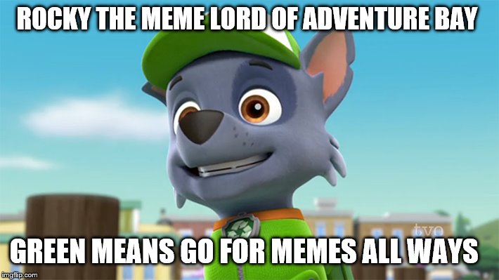 the meme lord of adventure bay | ROCKY THE MEME LORD OF ADVENTURE BAY; GREEN MEANS GO FOR MEMES ALL WAYS | image tagged in paw patrol,cartoon | made w/ Imgflip meme maker
