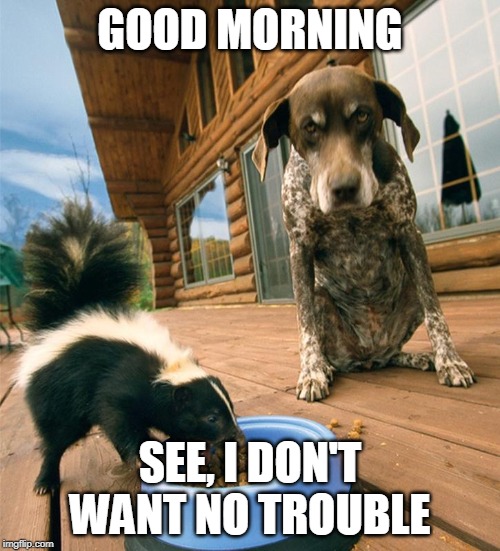 no trouble | GOOD MORNING; SEE, I DON'T WANT NO TROUBLE | image tagged in why me | made w/ Imgflip meme maker