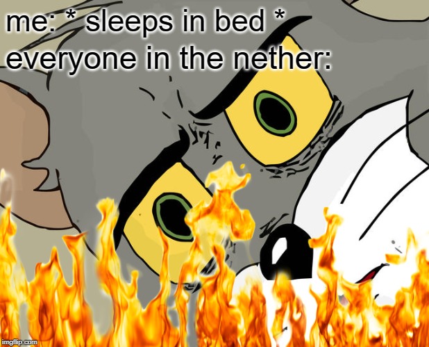 Nether sleep in the nether | me: * sleeps in bed *; everyone in the nether: | image tagged in minecraft,unsettled tom | made w/ Imgflip meme maker