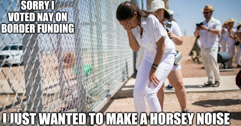  SORRY I VOTED NAY ON BORDER FUNDING; I JUST WANTED TO MAKE A HORSEY NOISE | image tagged in aoc,crying,secure the border,sorry,fake people,memes | made w/ Imgflip meme maker