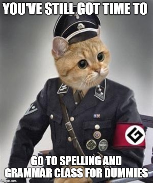 Grammar Nazi Cat | YOU'VE STILL GOT TIME TO GO TO SPELLING AND GRAMMAR CLASS FOR DUMMIES | image tagged in grammar nazi cat | made w/ Imgflip meme maker