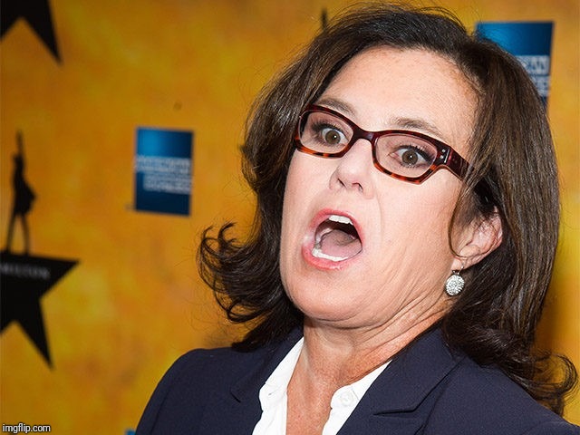 Rosie O'Donnell scream | image tagged in rosie o'donnell scream | made w/ Imgflip meme maker