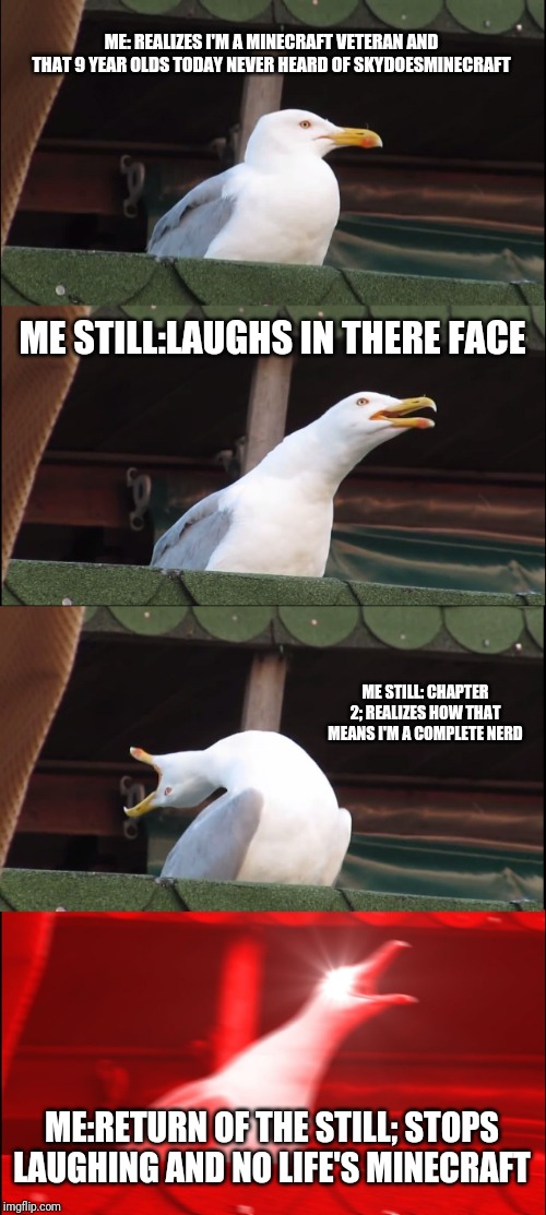 Inhaling Seagull Meme | ME: REALIZES I'M A MINECRAFT VETERAN AND THAT 9 YEAR OLDS TODAY NEVER HEARD OF SKYDOESMINECRAFT; ME STILL:LAUGHS IN THERE FACE; ME STILL: CHAPTER 2; REALIZES HOW THAT MEANS I'M A COMPLETE NERD; ME:RETURN OF THE STILL; STOPS LAUGHING AND NO LIFE'S MINECRAFT | image tagged in memes,inhaling seagull | made w/ Imgflip meme maker