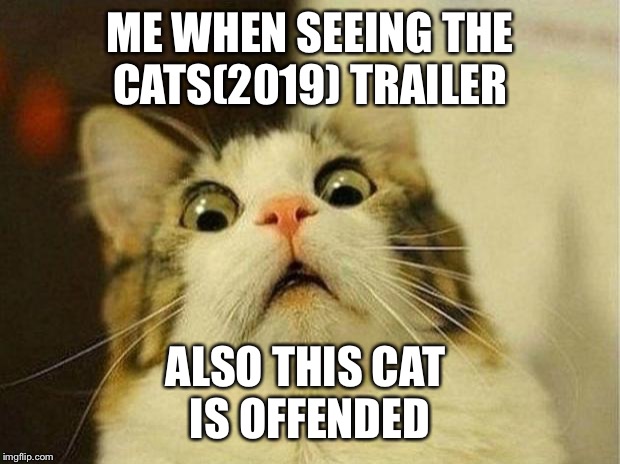 Scared Cat Meme | ME WHEN SEEING THE
CATS(2019) TRAILER; ALSO THIS CAT 
IS OFFENDED | image tagged in memes,scared cat | made w/ Imgflip meme maker