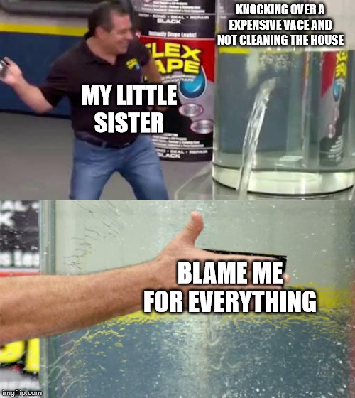 Flex Tape | KNOCKING OVER A EXPENSIVE VACE AND NOT CLEANING THE HOUSE; MY LITTLE SISTER; BLAME ME FOR EVERYTHING | image tagged in flex tape | made w/ Imgflip meme maker