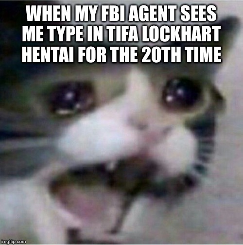 crying cat | WHEN MY FBI AGENT SEES ME TYPE IN TIFA LOCKHART HENTAI FOR THE 20TH TIME | image tagged in crying cat | made w/ Imgflip meme maker