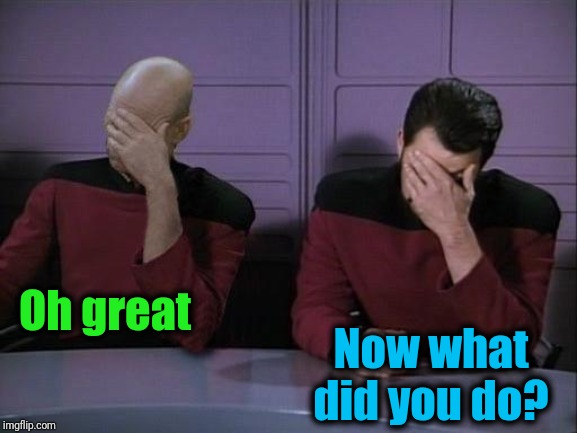 Double Facepalm | Oh great Now what did you do? | image tagged in double facepalm | made w/ Imgflip meme maker