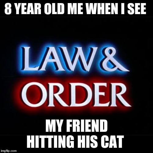law and order | 8 YEAR OLD ME WHEN I SEE; MY FRIEND HITTING HIS CAT | image tagged in law and order,cats | made w/ Imgflip meme maker