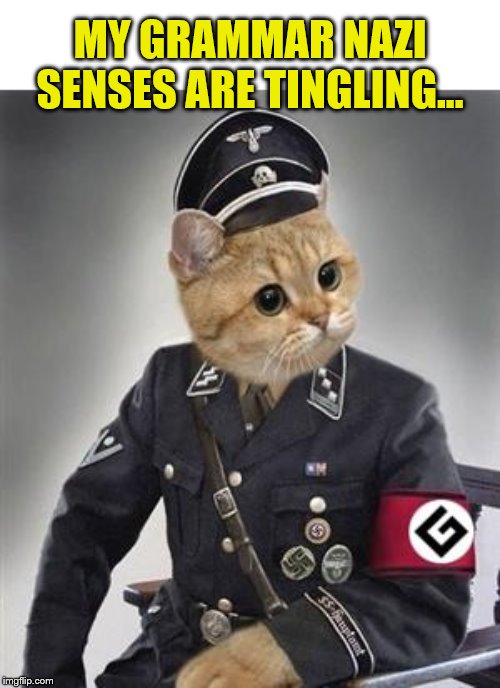 Grammar Nazi Cat | MY GRAMMAR NAZI SENSES ARE TINGLING... | image tagged in grammar nazi cat | made w/ Imgflip meme maker