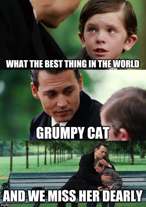 Finding Neverland | WHAT THE BEST THING IN THE WORLD; GRUMPY CAT; AND WE MISS HER DEARLY | image tagged in memes,finding neverland,grumpy cat | made w/ Imgflip meme maker