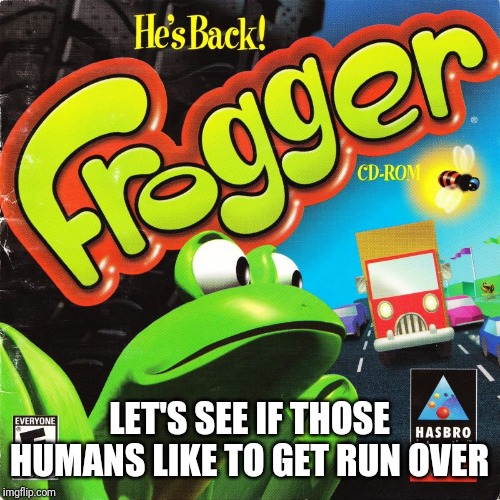 Frogger Windows | LET'S SEE IF THOSE HUMANS LIKE TO GET RUN OVER | image tagged in frogger windows | made w/ Imgflip meme maker