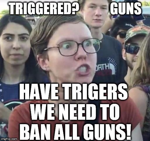 TRIGGERED?            GUNS HAVE TRIGERS 


WE NEED TO


BAN ALL GUNS! | made w/ Imgflip meme maker