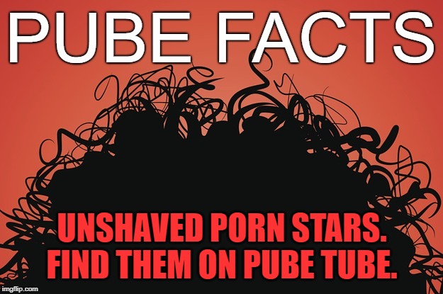 pube facts | UNSHAVED PORN STARS. FIND THEM ON PUBE TUBE. | image tagged in pube facts | made w/ Imgflip meme maker