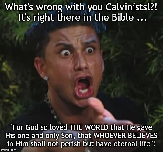 DJ Pauly D Meme | What's wrong with you Calvinists!?!  It's right there in the Bible ... "For God so loved THE WORLD that He gave His one and only Son, that WHOEVER BELIEVES in Him shall not perish but have eternal life"! | image tagged in memes,dj pauly d | made w/ Imgflip meme maker