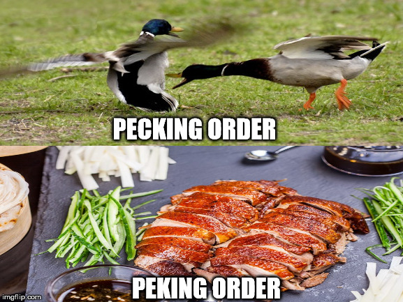 Duck, duck, ... | PECKING ORDER; PEKING ORDER | image tagged in food,chinese bbq,stopfighting food | made w/ Imgflip meme maker