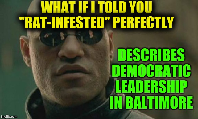 The word "infestation" doesnt specifically refers to the type of vermin | WHAT IF I TOLD YOU "RAT-INFESTED" PERFECTLY; DESCRIBES DEMOCRATIC LEADERSHIP IN BALTIMORE | image tagged in matrix morpheus,vince vance,infestation,democrats,rats,baltimore | made w/ Imgflip meme maker