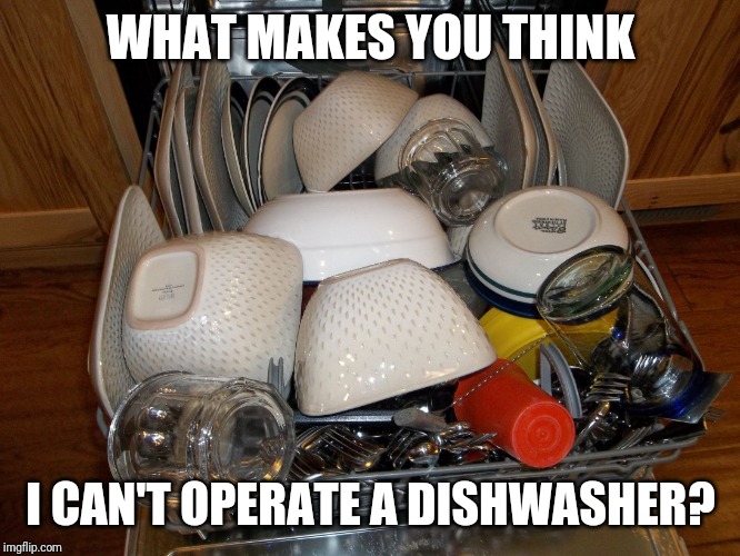Dishwasher Rocket science | WHAT MAKES YOU THINK I CAN'T OPERATE A DISHWASHER? | image tagged in dishwasher rocket science | made w/ Imgflip meme maker