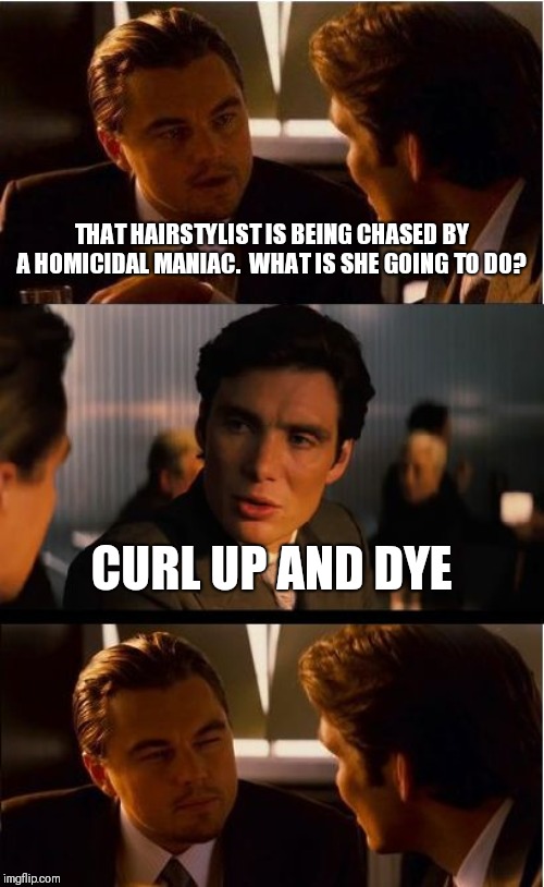 Inception Meme | THAT HAIRSTYLIST IS BEING CHASED BY A HOMICIDAL MANIAC.  WHAT IS SHE GOING TO DO? CURL UP AND DYE | image tagged in memes,inception | made w/ Imgflip meme maker