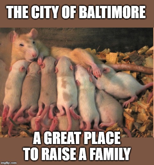 in 2018 the Feds gave Baltimore $16 billion. Where is it now? | THE CITY OF BALTIMORE; A GREAT PLACE TO RAISE A FAMILY | image tagged in rat's nursing | made w/ Imgflip meme maker