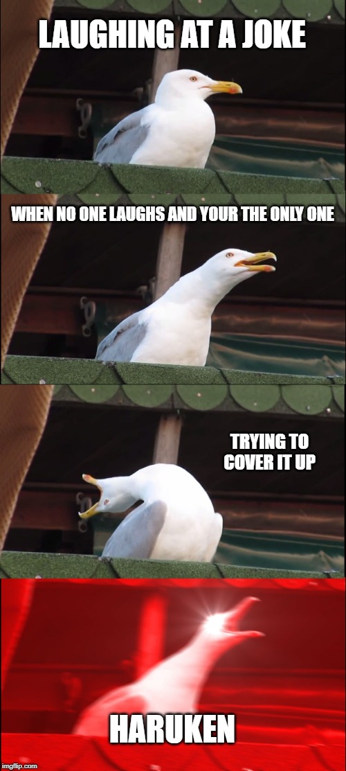 Inhaling Seagull | LAUGHING AT A JOKE; WHEN NO ONE LAUGHS AND YOUR THE ONLY ONE; TRYING TO COVER IT UP; HARUKEN | image tagged in memes,inhaling seagull | made w/ Imgflip meme maker