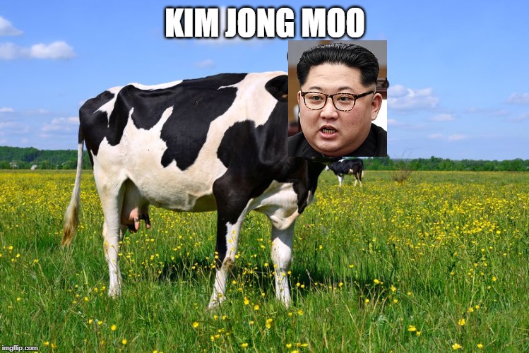 KIM JONG MOO | image tagged in no u | made w/ Imgflip meme maker