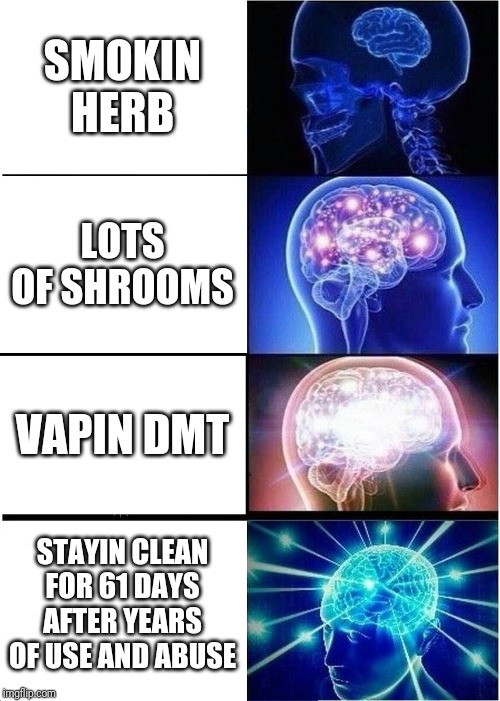 Clean for now | SMOKIN HERB; LOTS OF SHROOMS; VAPIN DMT; STAYIN CLEAN FOR 61 DAYS AFTER YEARS OF USE AND ABUSE | image tagged in memes,expanding brain | made w/ Imgflip meme maker