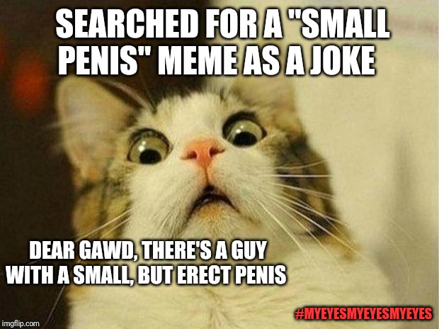 Scared Cat Meme | SEARCHED FOR A "SMALL PENIS" MEME AS A JOKE; DEAR GAWD, THERE'S A GUY WITH A SMALL, BUT ERECT PENIS; #MYEYESMYEYESMYEYES | image tagged in memes,scared cat | made w/ Imgflip meme maker
