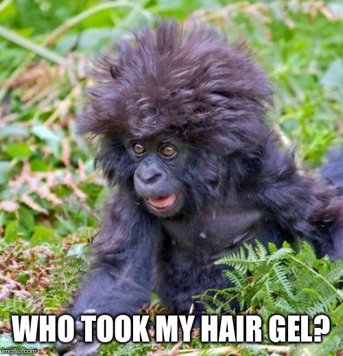 WHO TOOK MY HAIR GEL? | made w/ Imgflip meme maker