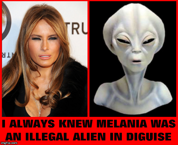image tagged in alien,illegal aliens,melania trump,idiot,illegal immigrant,aliens | made w/ Imgflip meme maker