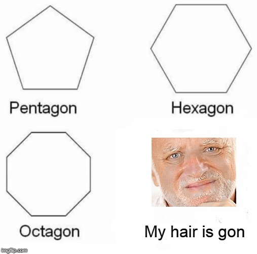 Pentagon Hexagon Octagon Meme | My hair is gon | image tagged in memes,pentagon hexagon octagon | made w/ Imgflip meme maker