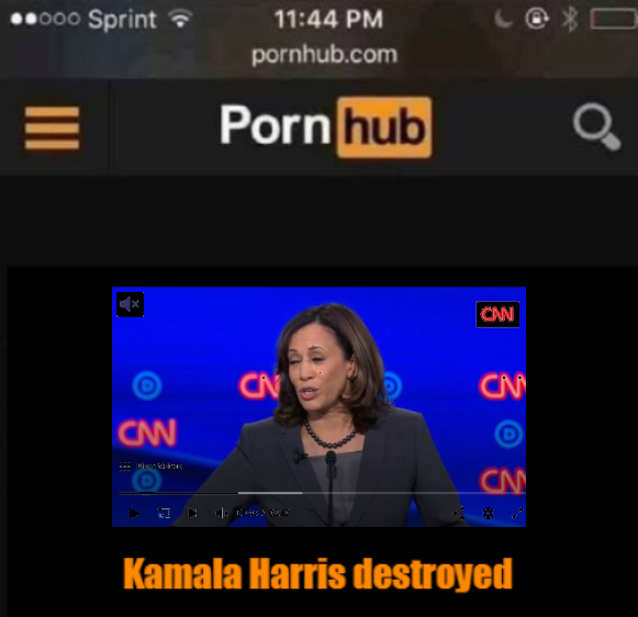 Kamala Harris destroyed Blank Meme Template