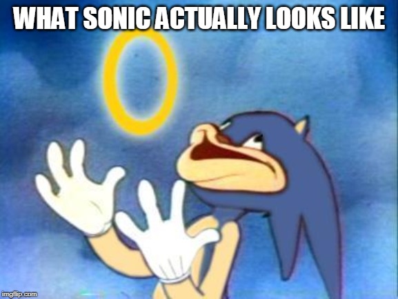 Sanic | WHAT SONIC ACTUALLY LOOKS LIKE | image tagged in sanic | made w/ Imgflip meme maker