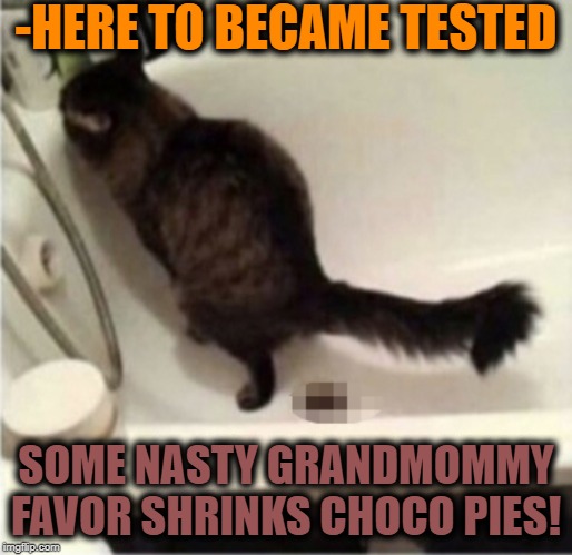 -HERE TO BECAME TESTED SOME NASTY GRANDMOMMY FAVOR SHRINKS CHOCO PIES! | made w/ Imgflip meme maker